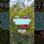 2023年 ＼沖縄マニアが行く／大好きな宮古島4泊5日の旅Day2#shorts#宮古島#沖縄