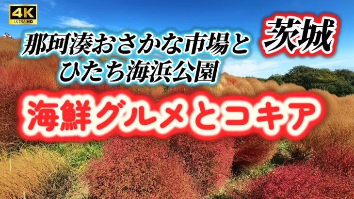 「4K HDR JAPAN TRAVEL】ひたち海浜公園&那珂湊おさかな市場ドライブ#4K#Japan travel#ibarakiprefecture