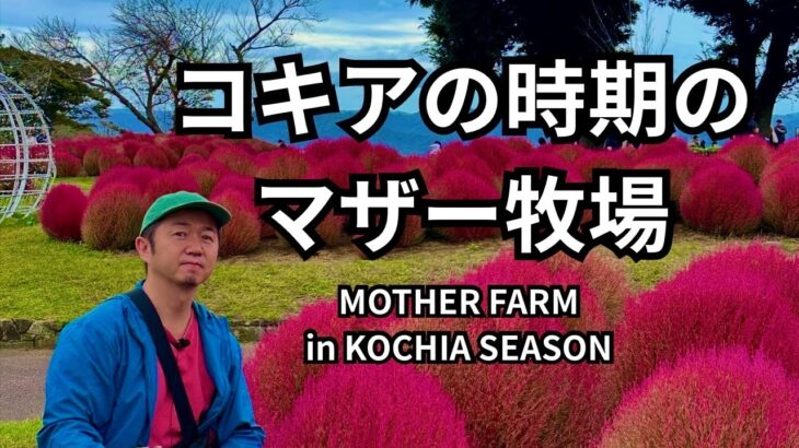コキアの季節のマザー牧場 Mother Farm in Kochia Season