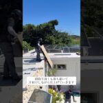 2023年 太陽光パネル＋蓄電池設置工事　　　　宮古島出張　パネル取付作業　　　　　#沖縄 #太陽光発電  #ホウトク沖縄