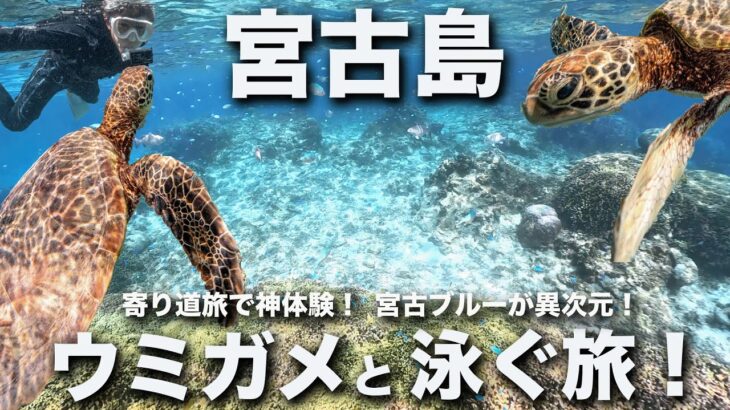 2023年 宮古ブルーやっぱ最強！多良間島→宮古島。寄り道旅でウミガメと出会った最高の1日！