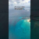 2023年 宮古島で−1.1kg!? 結構食べて飲んだよ？