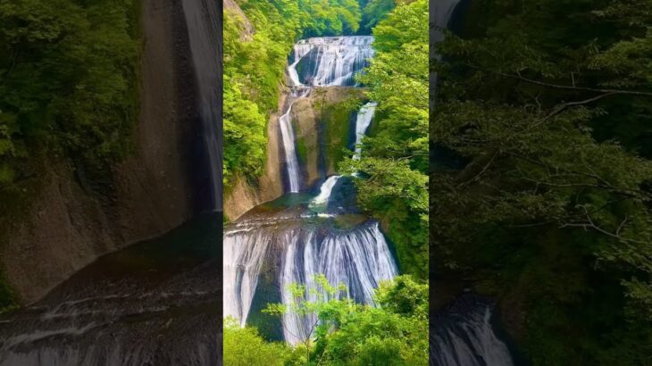 【11月13日は無料解放⤴️袋田の滝　茨城県大子町】#無料 #お得情報