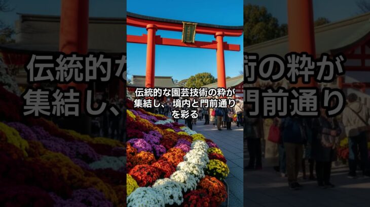 【茨城の秋】日本最古の菊祭り！11/23開催 笠間稲荷の幻想的な夜祭り🎆