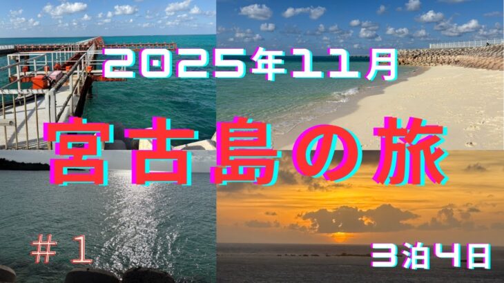 2023年 「11月の宮古島が最高すぎた」海とグルメとゆる旅Vlog　八重干瀬・17END　夜は美ら島ライブで大盛り上がりの初日