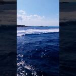 2023年 宮古島ってどんなところ？白鳥崎 1　20251107