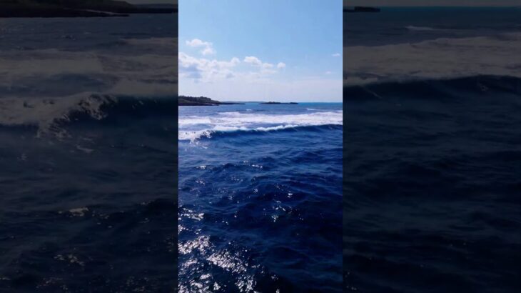 2023年 宮古島ってどんなところ？白鳥崎 1　20251107