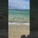 2023年 2022年12月　宮古島海中公園そばの海の様子