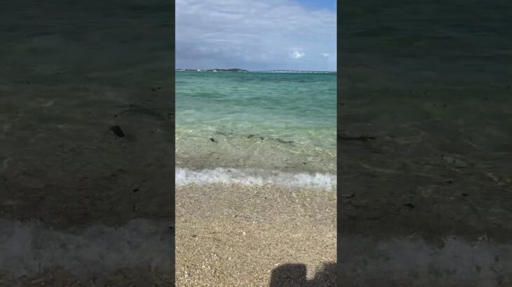 2023年 2022年12月　宮古島海中公園そばの海の様子