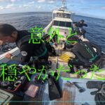 2023年 【　意外と穏やかだった　】　2025  11  9