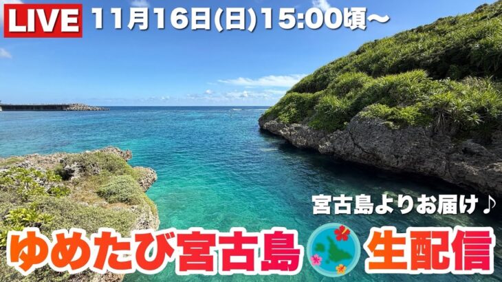 2023年 【宮古島より生配信】 冬突入！でもこんなに美しいよ🌺2025.11.16