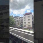 2023年 2025年11月11日