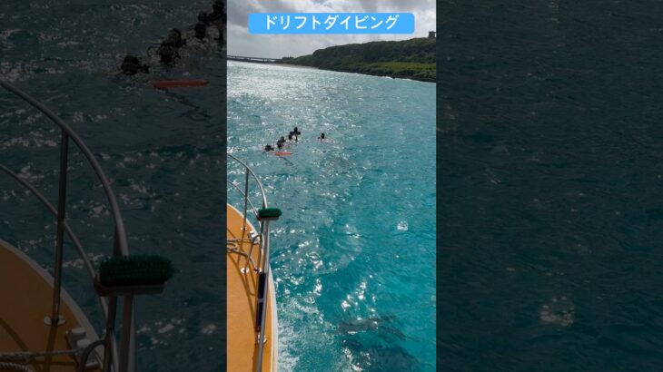 2023年 2025年11月13日