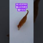 2023年 2025年11月13日