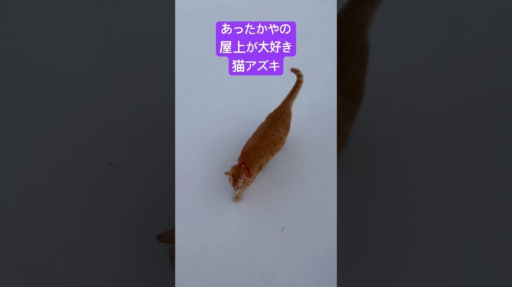 2023年 2025年11月13日