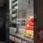 2023年 2025年11月16日