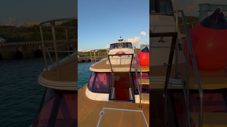 2023年 2025年11月16日