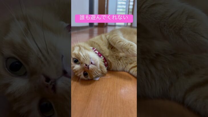 2023年 2025年11月18日