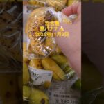 2023年 島バナナ　宮古島2025年11月3日