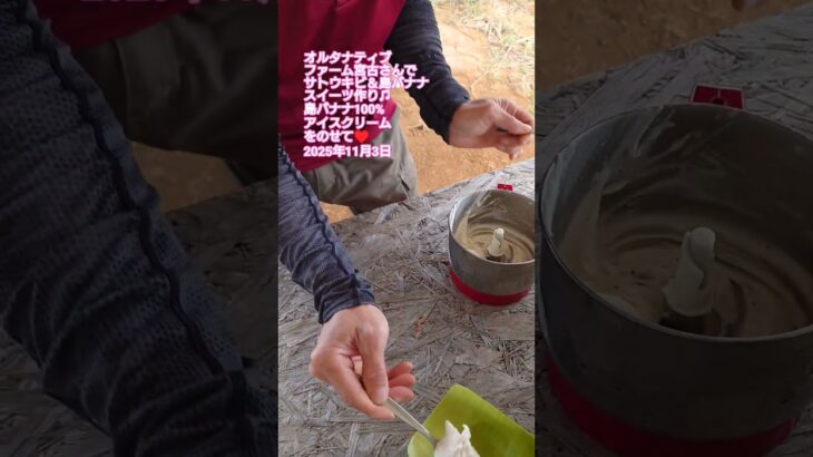2023年 2025年11月3日宮古島　オルタナティブファーム宮古さんで島バナナのデザート作り♫