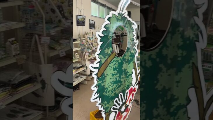 2023年 宮古島の世界遺産パントゥーの土産販売店　島尻購買店　2025/5/26