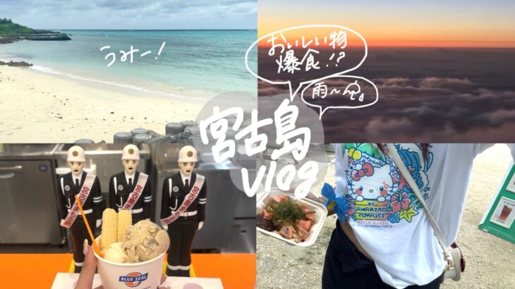 2023年 【3分半で宮古島丸分かり〜🪄🏖️】