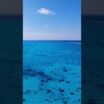 2023年 宮古島ってどんなところ？白鳥崎 3　20251107