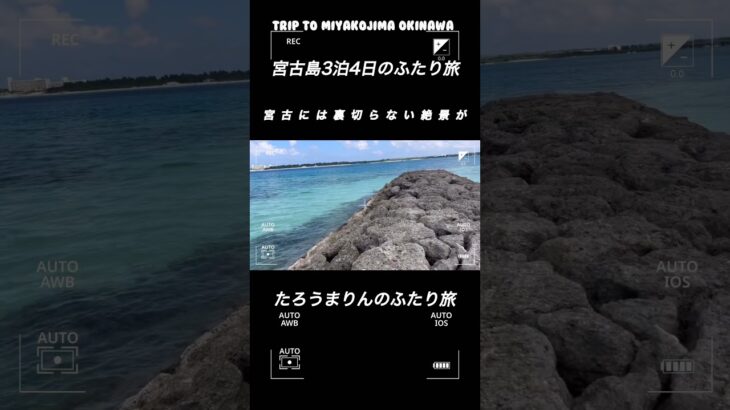 2023年 宮古島3泊4日のふたり旅　#shorts  #宮古島　#シニア　#宮古ブルー　#池間島　#来間島　#伊良部島　#下地島　#池間ブルー　#観光　#タコ公園　#離島