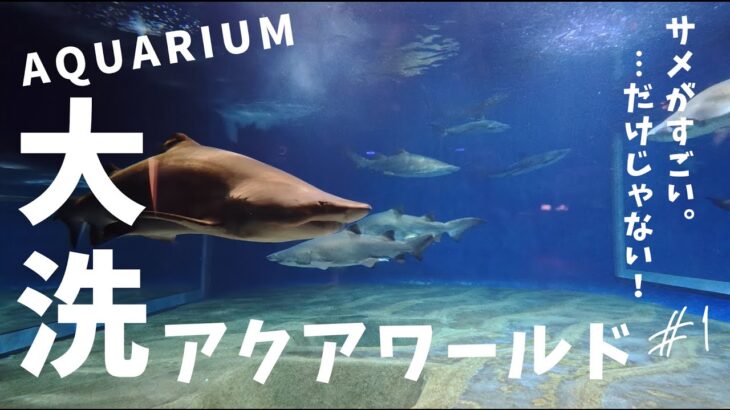 【4K・AQUARIUM】アクアワールド茨城県大洗水族館【Part1】