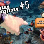 2023年 🇯🇵[宮古島] #5 미야코지마 5회차 여행 안내 브이로그 (Part 5 / 7)