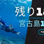 2023年 【宮古島】激レアポイントも！レッスン中にコッソリ撮影♪［SUP＆シュノーケリング＆サップヨガ］