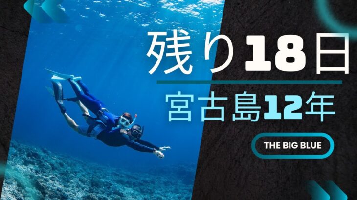 2023年 【宮古島】激レアポイントも！レッスン中にコッソリ撮影♪［SUP＆シュノーケリング＆サップヨガ］