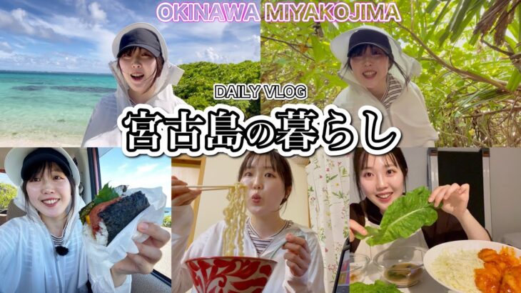 2023年 【VLOG】宮古島移住６年目〜あたたかい南国生活〜　Japan okinawa miyakojima