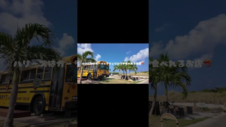 2023年 嫁ちゃんとの宮古島Vlog✨