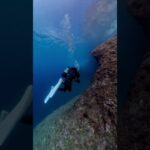 2023年 【ダイビング】宮古島 diving-Miyakojima 2025/11