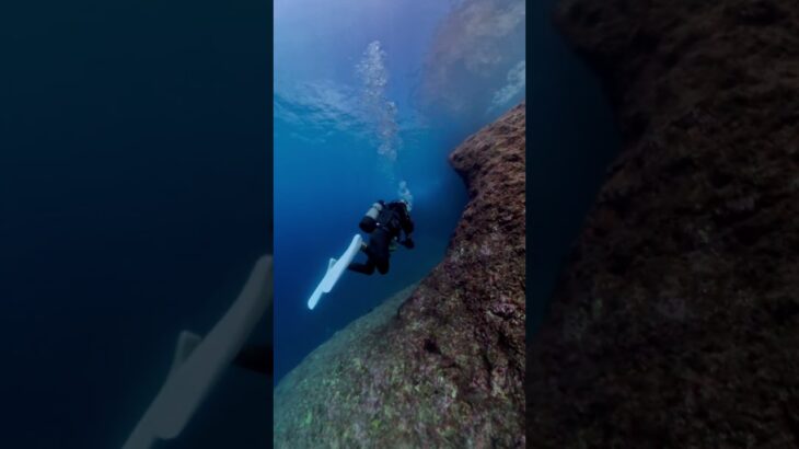 2023年 【ダイビング】宮古島 diving-Miyakojima 2025/11