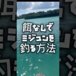 2023年 餌無しでミジュンを釣る方法 #釣り #宮古島 #fishing