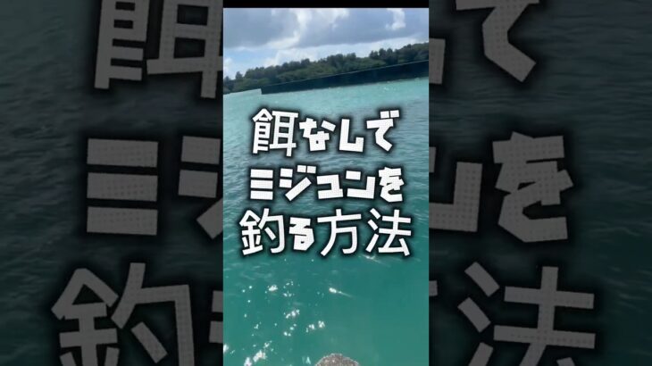 2023年 餌無しでミジュンを釣る方法 #釣り #宮古島 #fishing