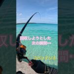 2023年 油断大敵、#釣り #打ち込み釣り #フカセ釣り #アウトドア #タマン #ロウニンアジ #宮古島 #沖縄釣り #fishing #fish #ジギング #ルアー #沖縄 #shimano