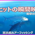 2023年 ルアーフィッシング  in  宮古島