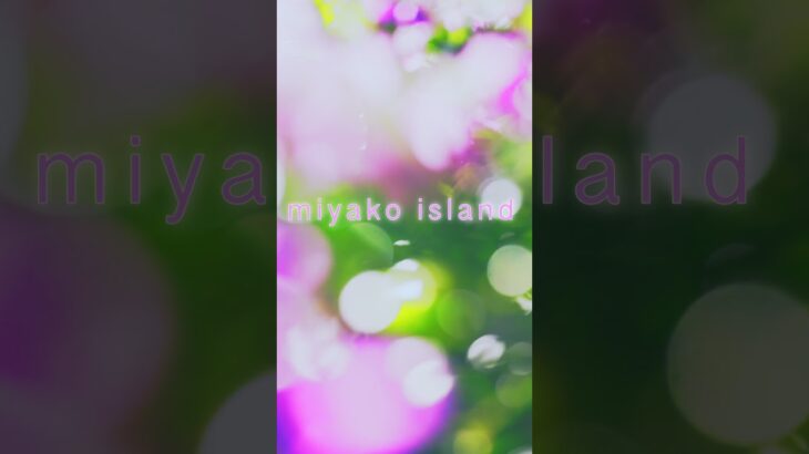 2023年 宮古島 #宮古島 #miyakoisland