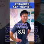 2023年 mrcレンタカー宮古島店　　　宮古島の気温知りたい人必見！#宮古島 #旅行 #気温 #レンタカー