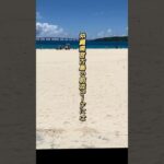 2023年 宮古島のビーチでポケモン発見pokemon