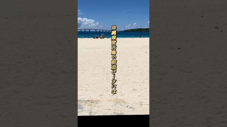 2023年 宮古島のビーチでポケモン発見pokemon