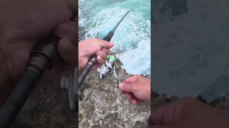 2023年 #宮古島#short #fishing #釣り