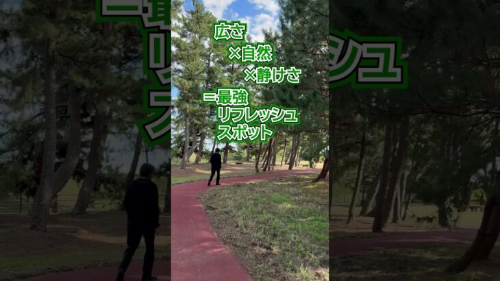 #代表さんぽ  #和田公園 ( #茨城県 #稲敷市 ) に行ってみた! #shorts