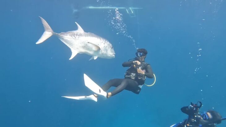 2023年 宮古島ダイビング　ヤビジ