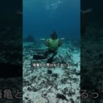 2023年 トリックオアトリート🎃🐢