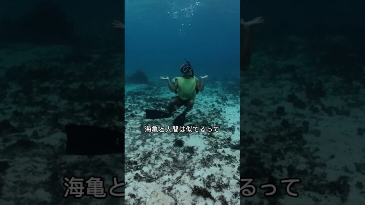 2023年 トリックオアトリート🎃🐢