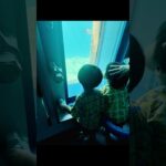 2023年 #双子 #双子育児 #育児 #育児記録 #宮古島